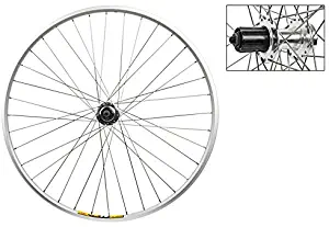 Wheel Master 700c Rear Wheel - Quick-Release, 36H, 8-Speed Cassette 6B Disc Hub, Silver/Silver/Steel