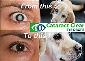 Proven Cataract Treating Eye Drops for People & Pets. Contains 4.2% N-Acetyl-Carnosine, Making Them Over 4 Times Stronger Than Most Other N.A.C. Based Eye Drops.