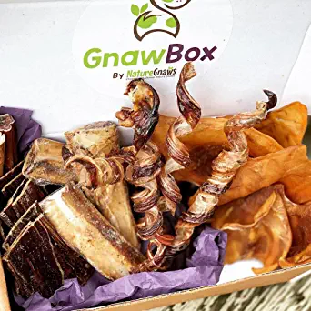 Gnaw Box – Nature Gnaws Dog Chew Treats - Subscription Box: Large Dog GnawBox