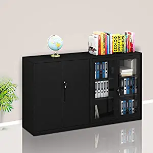 Small Size Office Cabinet Black Color with Two Layer Lockable (30" Metal Door, Black)