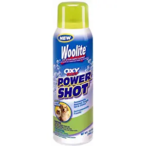 Woolite Oxy Deep Power Shot Carpet Spot & Stain Remover (8538)