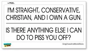 Graphics and More Straight Conservative Christian Own Gun Anything Else to Piss You Off - Window Bumper Laptop Sticker