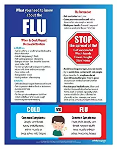 Flu Prevention Safety Poster - 17 x 22 inches - Laminated