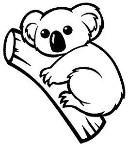 Koala Bear on A Branch NOK Decal Vinyl Sticker |Cars Trucks Vans Walls Laptop|Black|5.5 x 4.5 in|NOK810
