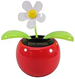 Navillus Solar Powered Dancing Flower, Lily, Rose, Sunflower, Petunia Office Desk & Car Decor (White Daisy Red Pot)
