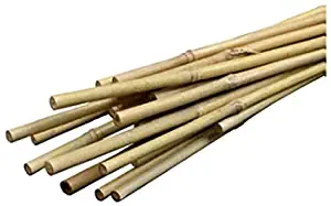 Bond SMG12029 Miracle-Gro 2 ft x 1/4 in Packaged Bamboo Stakes, 12 Pack, Natural
